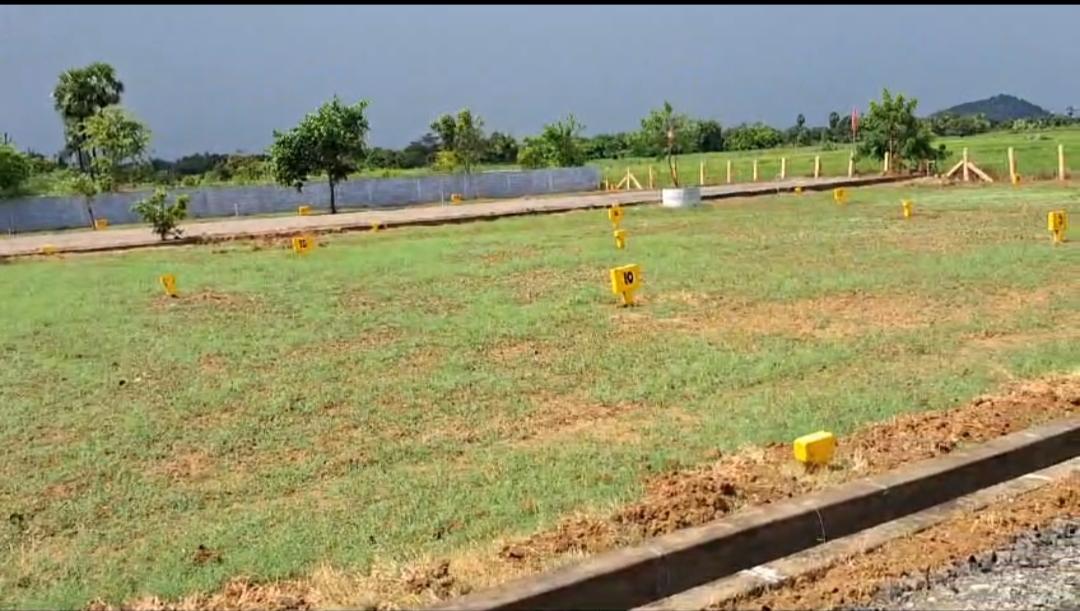 haasini projects CRDA open plots boddanapalli Agiripalli venture